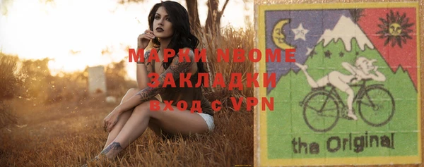 индика Осташков