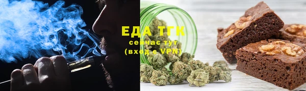 индика Осташков