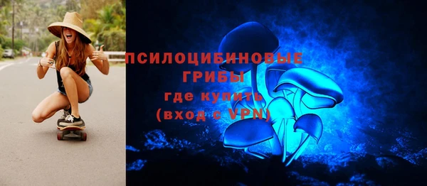 индика Осташков