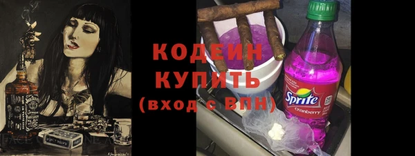 индика Осташков