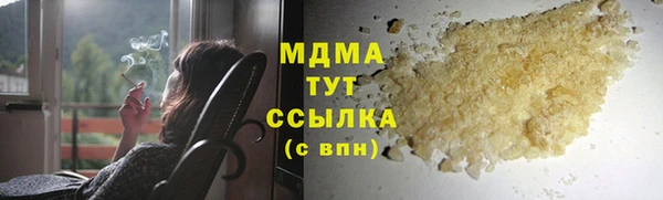 индика Осташков