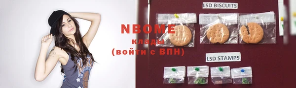 индика Осташков