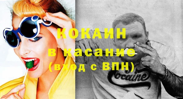индика Осташков