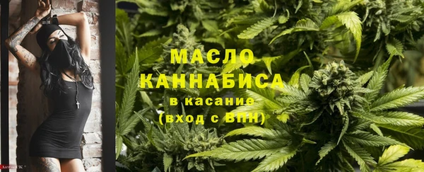 индика Осташков