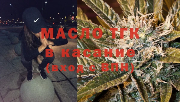 индика Осташков