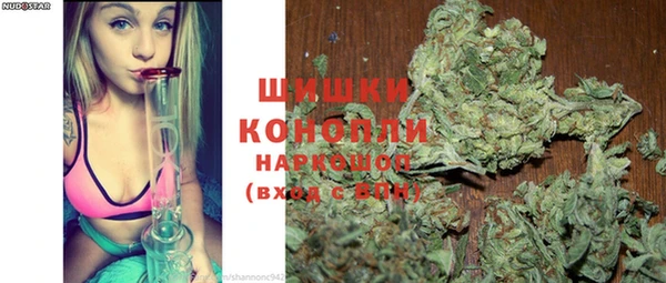 индика Осташков