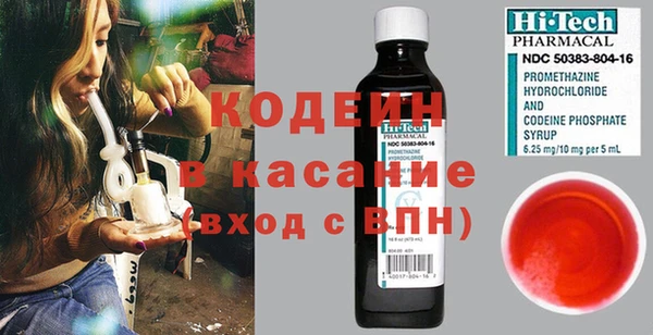 индика Осташков