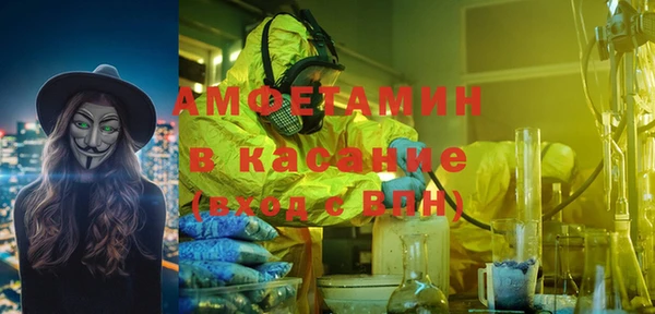 индика Осташков