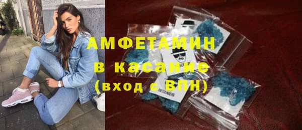 индика Осташков