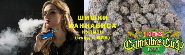 МДПВ Осинники