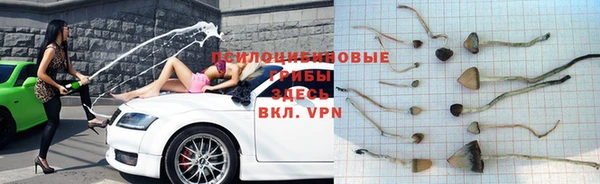 индика Осташков