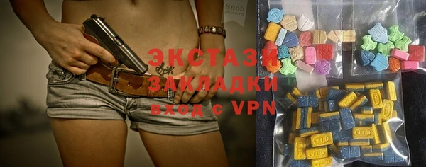 индика Осташков